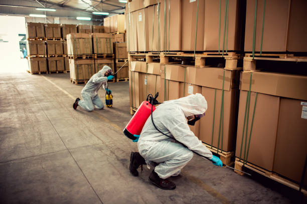 Best Flea Control Services  in Ellsworth, WI