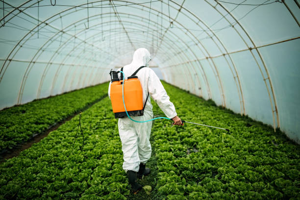 Best Commercial Pest Control Services  in Ellsworth, WI