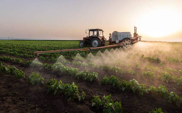 Professional Pest Control in Ellsworth, WI