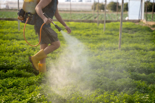Best Exterminator Services  in Ellsworth, WI