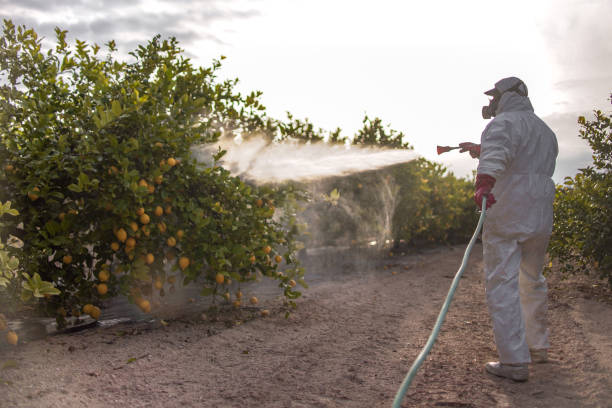 Best Pest Inspection Near Me  in Ellsworth, WI