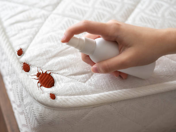 Best Pest Control Near Me in Ellsworth, WI