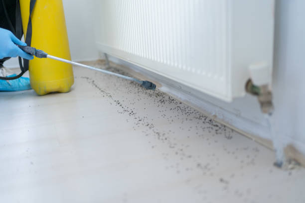 Best Pest Removal Services  in Ellsworth, WI