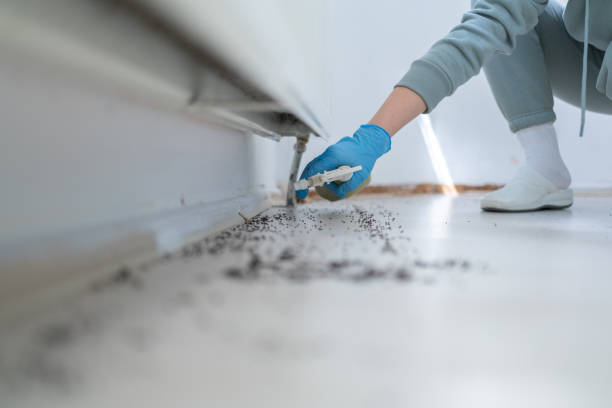 Best Emergency Pest Control  in Ellsworth, WI